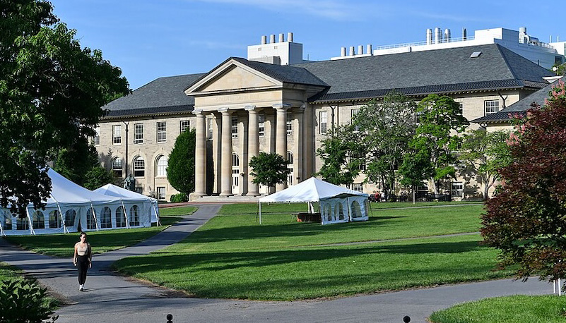 Cornell Daily Sun: Professor, Author Sandhya Shukla ’88 Discusses ‘Cross-Culturalism’ in Harlem, New York