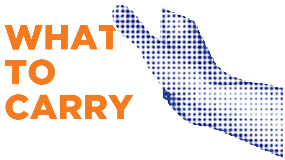 What to Carry Amid Ice Raids from AJSOCAL